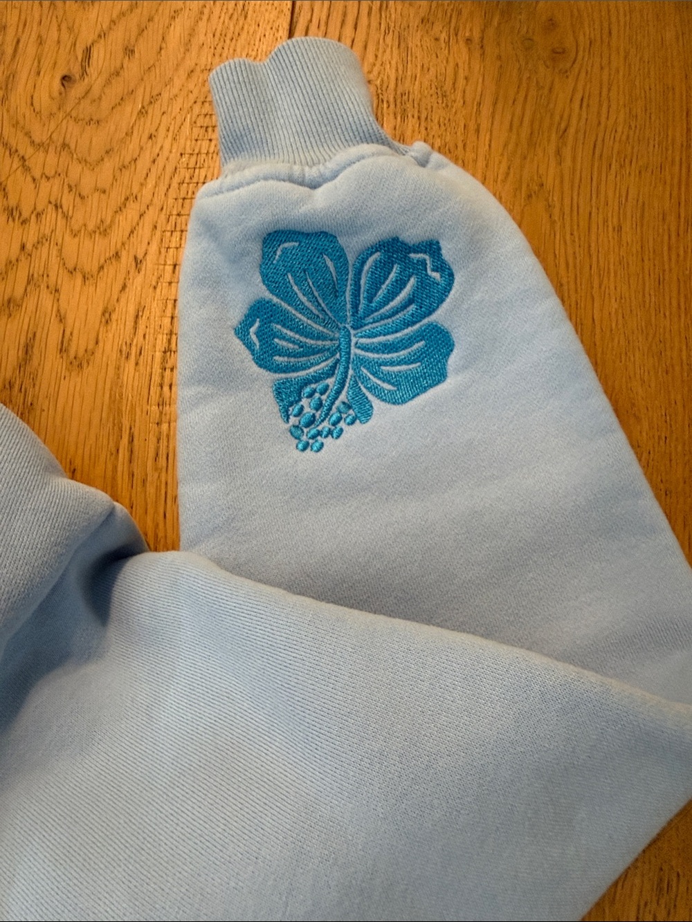 Pink Palm Puff Light Blue “Everything Comes in Waves” Hoodie [has stains!] - Picture 7 of 8